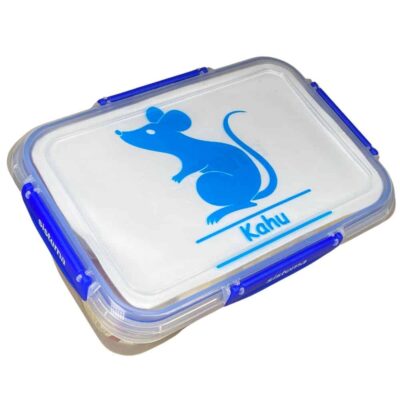 Mouse Lunchbox